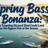 Spring Bass Bonanza: Why Targeting Gizzard Shad Could Land You the Biggest Fish of the Season
