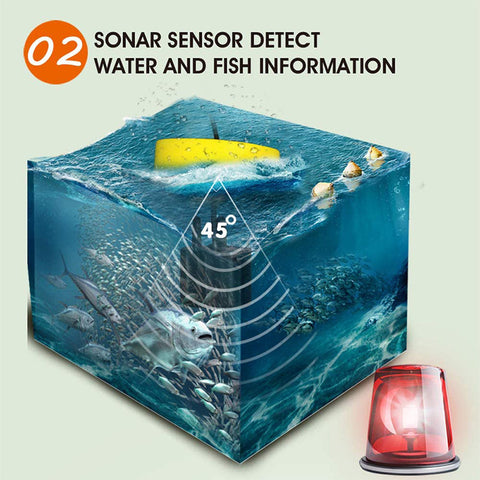 Wired Fish Finder with Display Screen